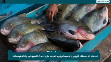أسعار الأسماك اليوم بالإسماعيلية تعرف على أحدث العروض والتخفيضات